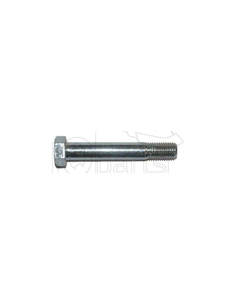 Screw SKT-SCHRAUBE M16X100-10.9 VZ. PM124002