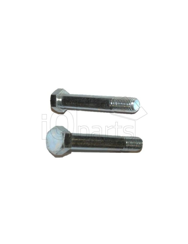 Screw SKT-SCHRAUBE M16X100-10.9 VZ. PM124002
