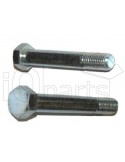Screw SKT-SCHRAUBE M16X100-10.9 VZ. PM124002
