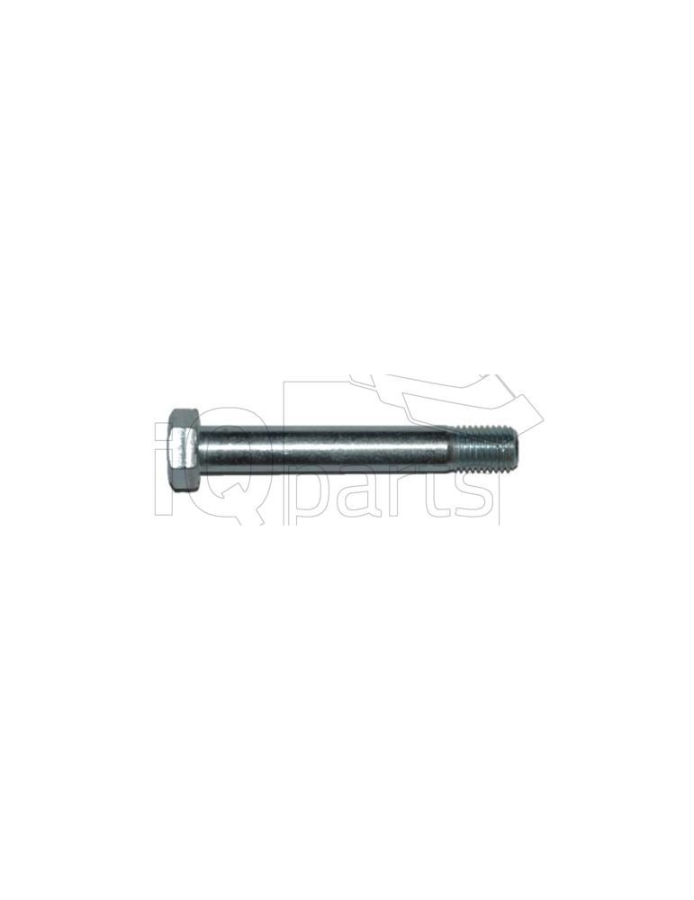 Screw SKT-SCHRAUBE M20X135-10.9 (LC300017)
