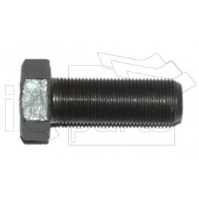 Screw ZINKENSCHRAUBE M20X1,5X55 - 10.9