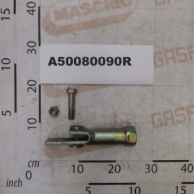 ASS. SALD. SUPPORTO REG. PROF.