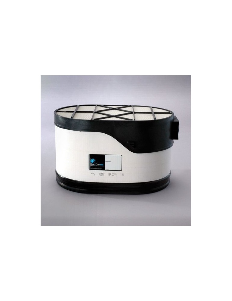 Filtru Aer Motor P622091