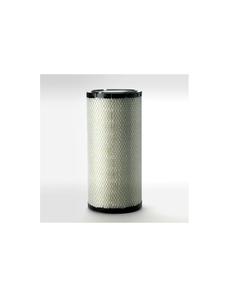 Filtru Aer Motor P780522