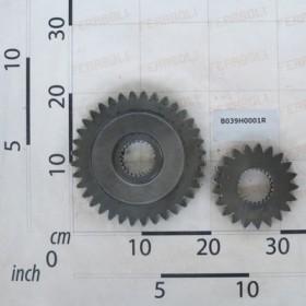 COPPIA INGRANAGGI Z-36/21 BYP