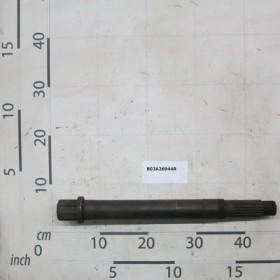 ALBERO IN USCITA             .