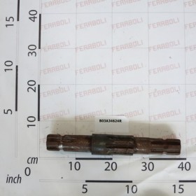 ALBERO SCATOLA               .