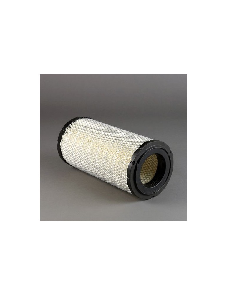 Filtru Aer Motor P772580