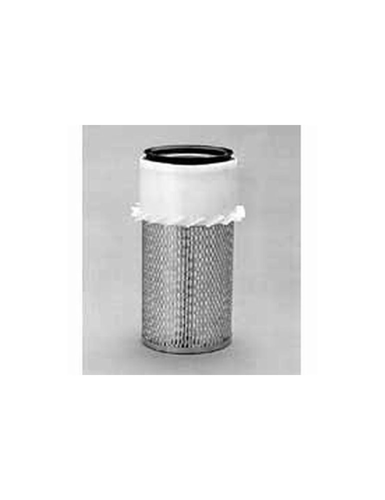 Filtru Aer Motor P771511