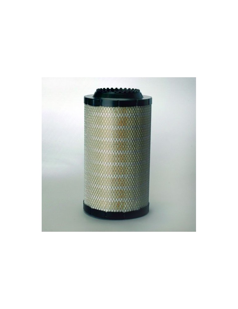 Filtru Aer Motor P782104