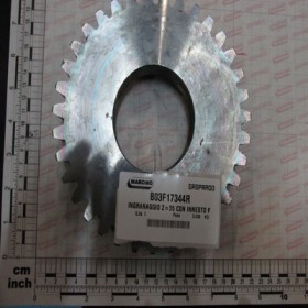 GEAR Z-35 CON INNESTO F