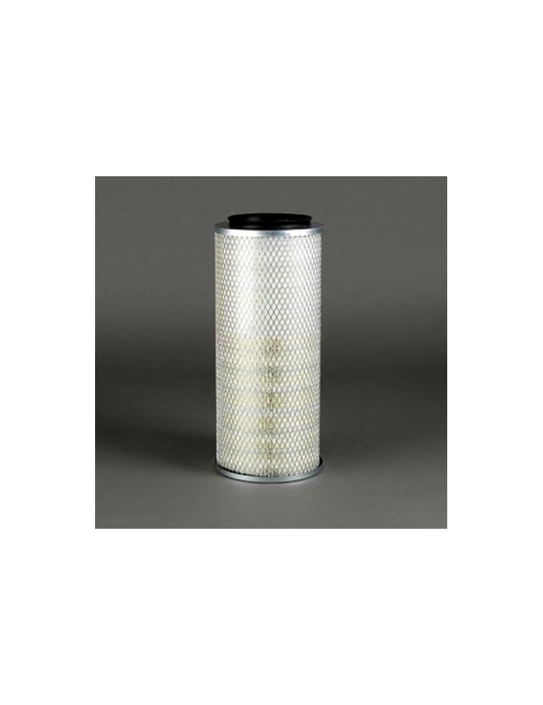 Filtru Aer Motor P782879