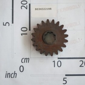 Z-20 M-6 GEAR
