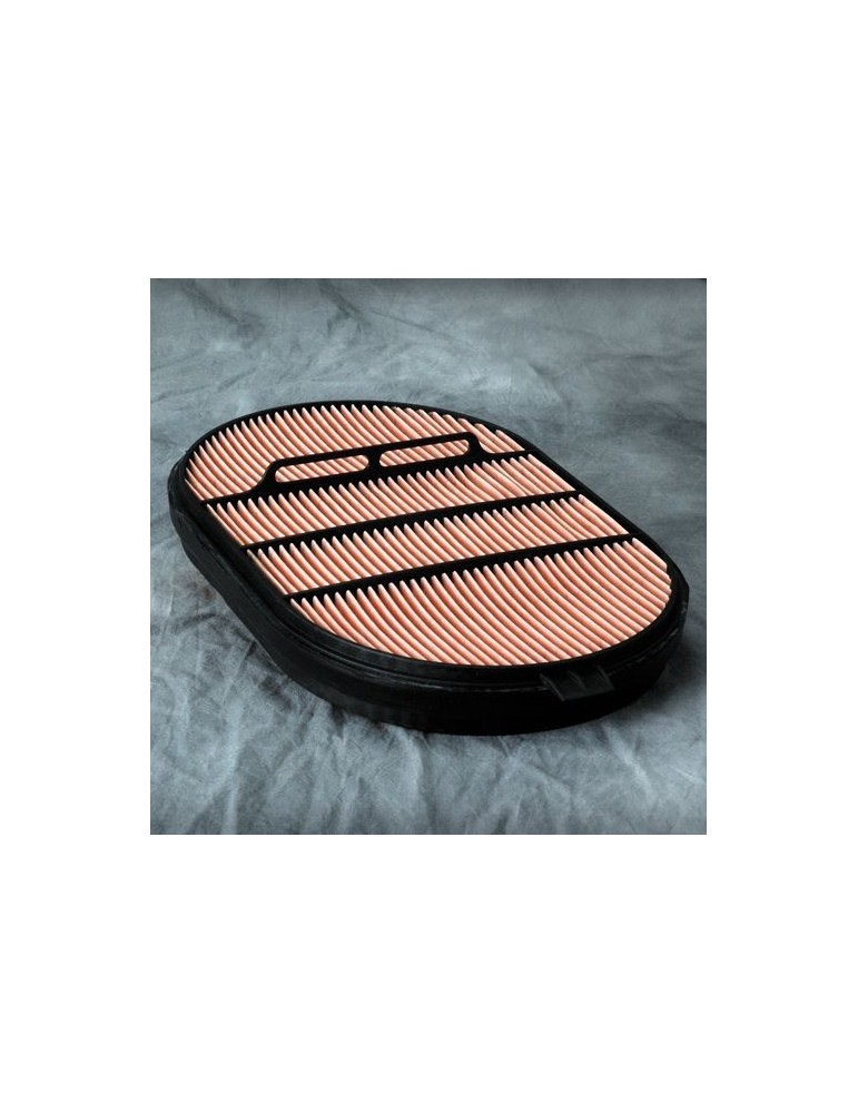 Filtru Aer Motor P607557