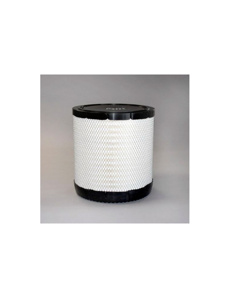 Filtru Aer Motor P617646