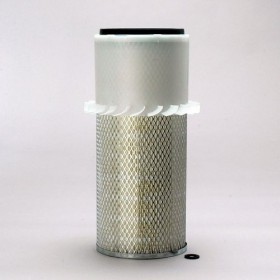 Filtru Aer Motor P181063