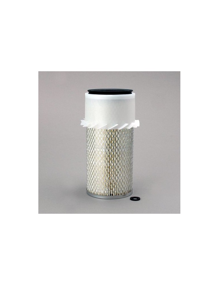 Filtru Aer Motor P181052