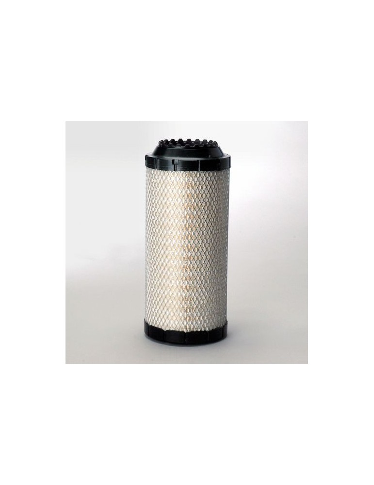 Filtru Aer Motor P778972