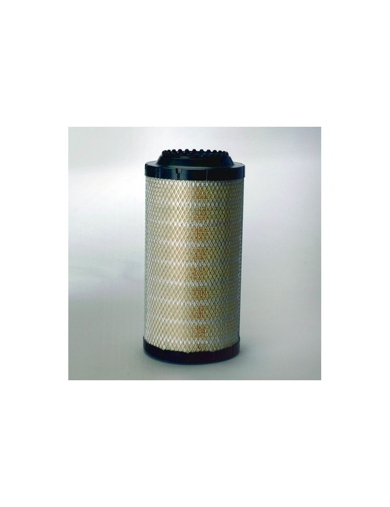 Filtru Aer Motor P778994