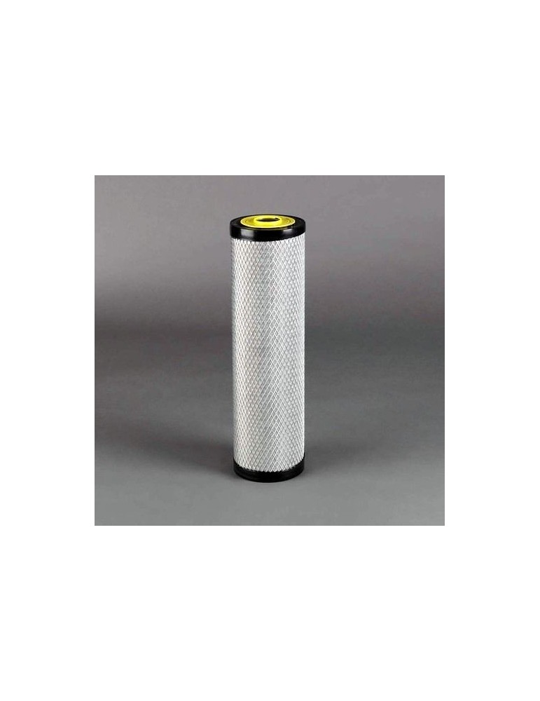 Filtru Aer Motor P780036