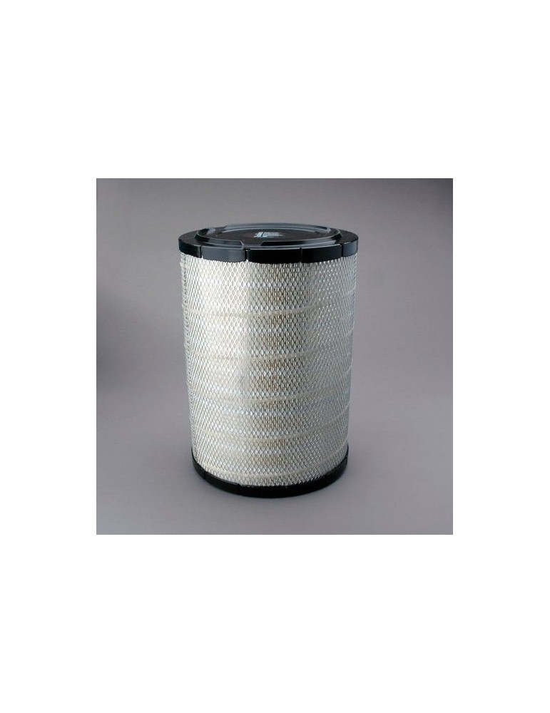 Filtru Aer Motor P533235