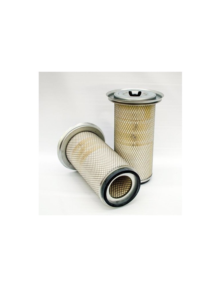 Filtru Aer Motor P778702