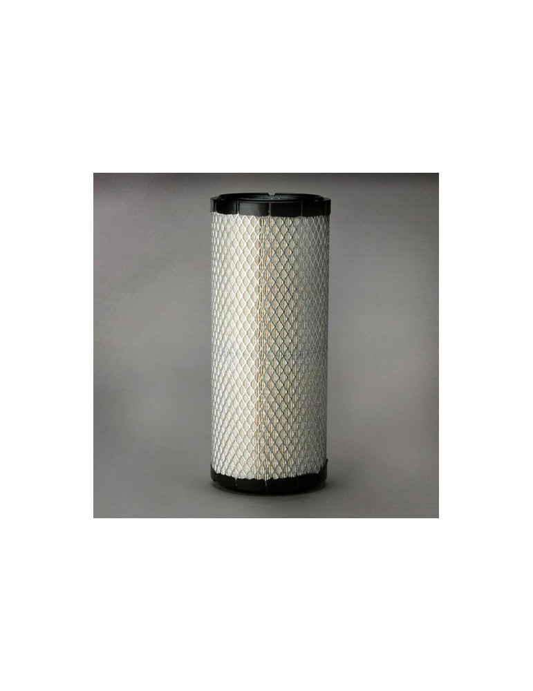 Filtru Aer Motor P822768