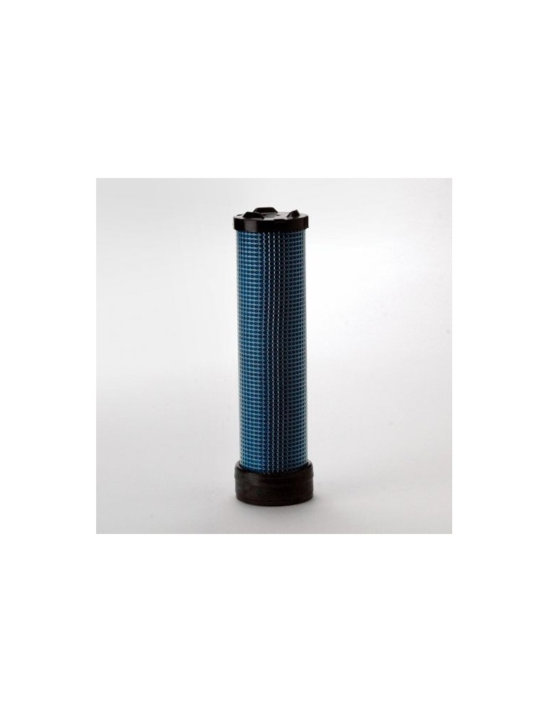 Filtru Aer Motor P822769