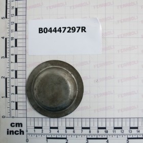 BEARING CAP