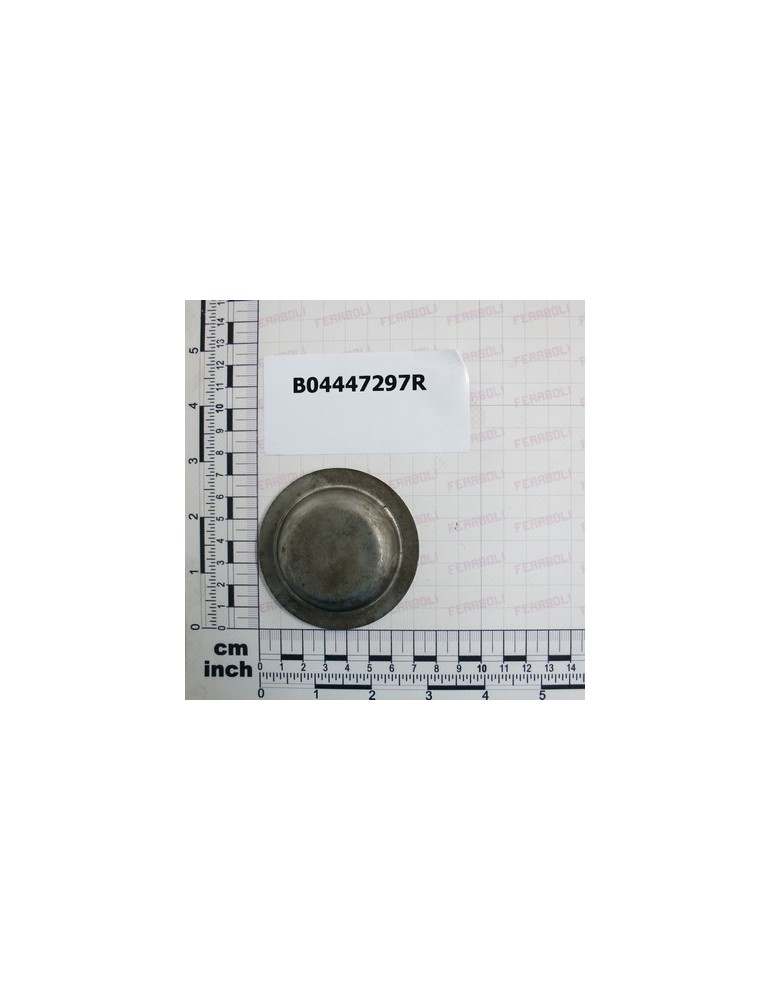 BEARING CAP