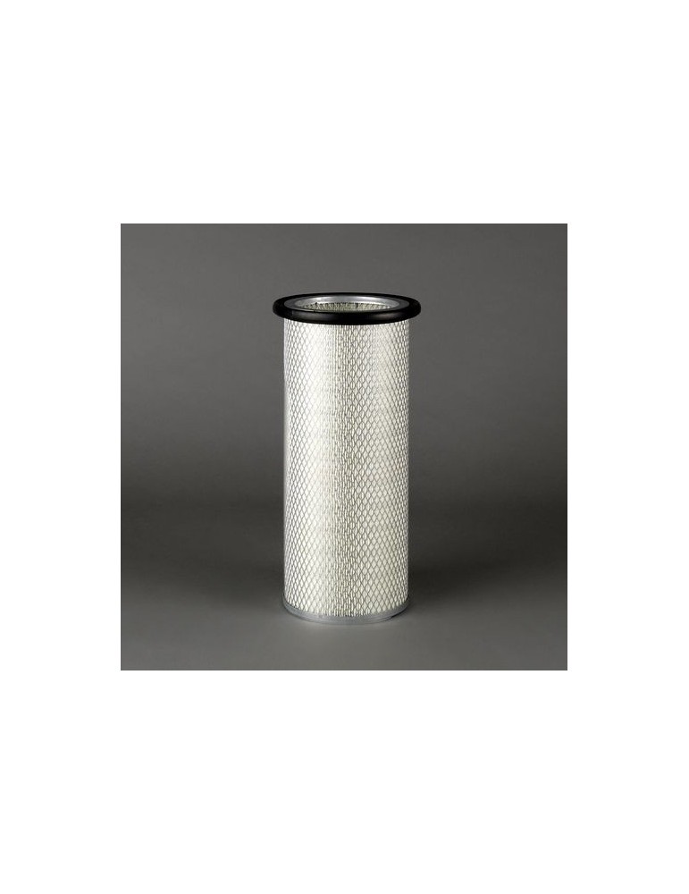 Filtru Aer Motor P119373