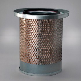 Filtru Aer Motor P781373