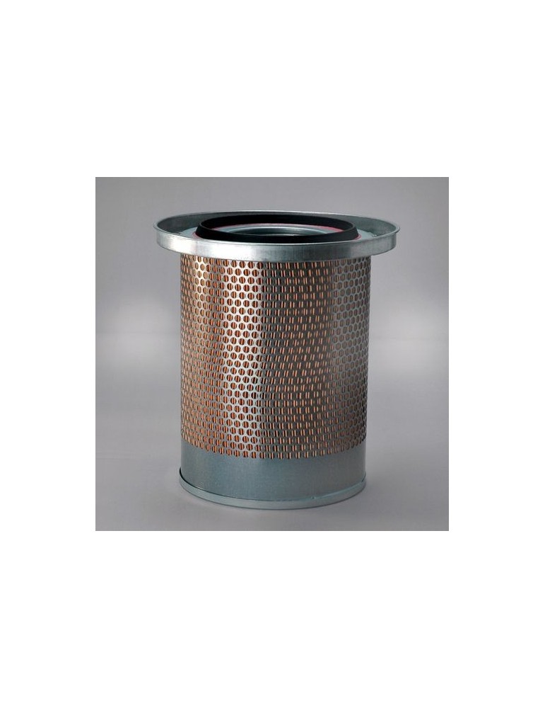 Filtru Aer Motor P781373