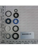 SEAL KITS OF CYLINDERS