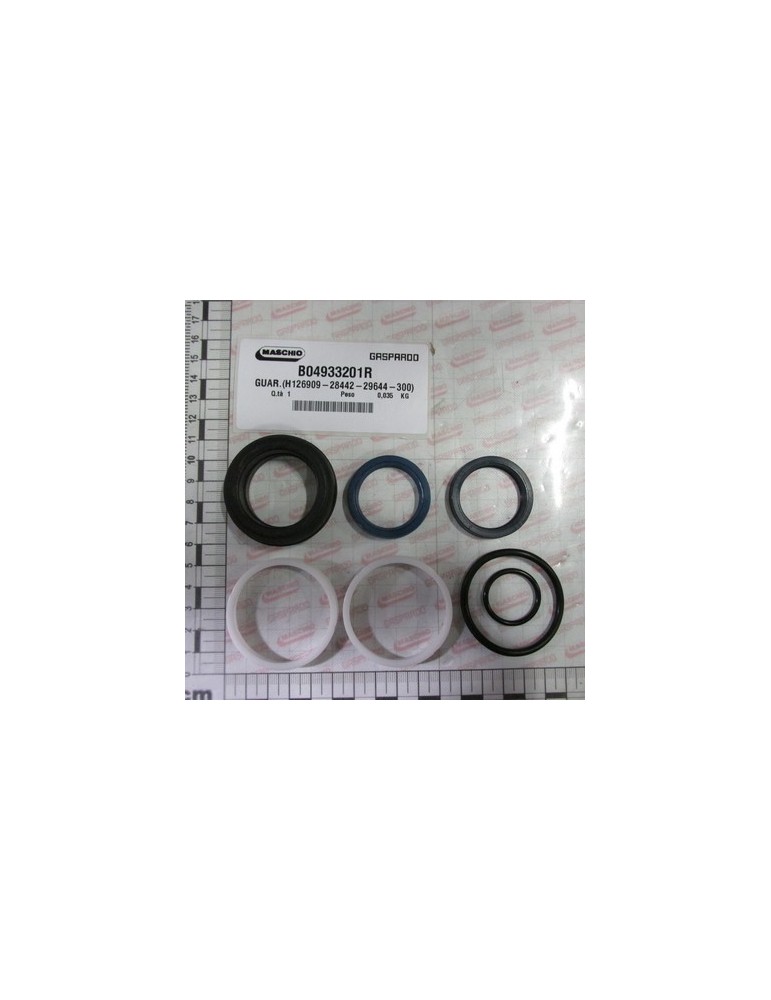 GASKET(H126909-28442-29644-300