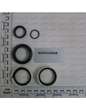 SEALS (H130039)