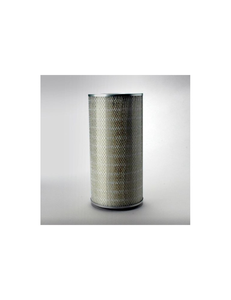 Filtru Aer Motor P181137