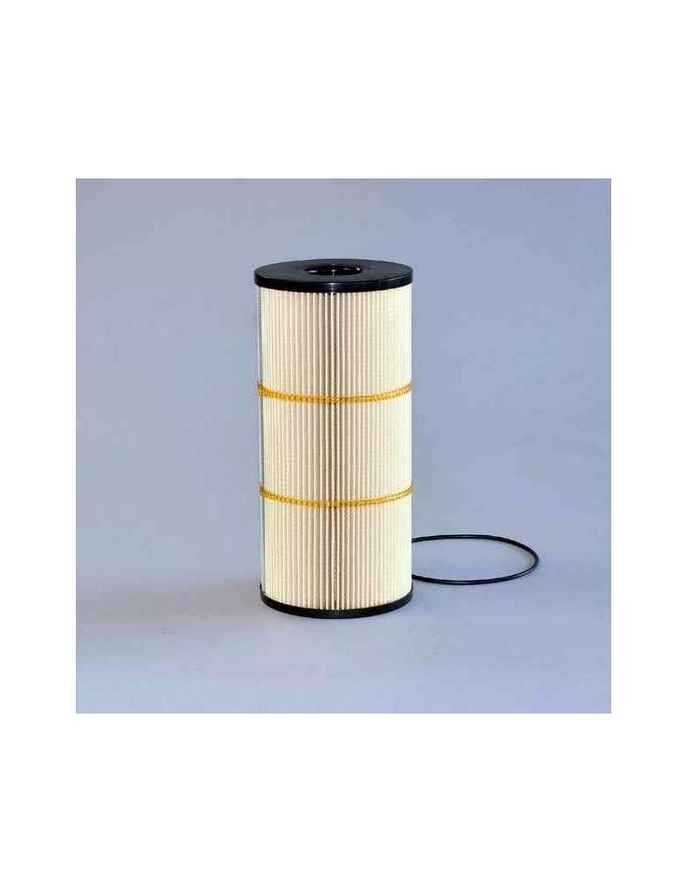 Filtru Combustibil P502479