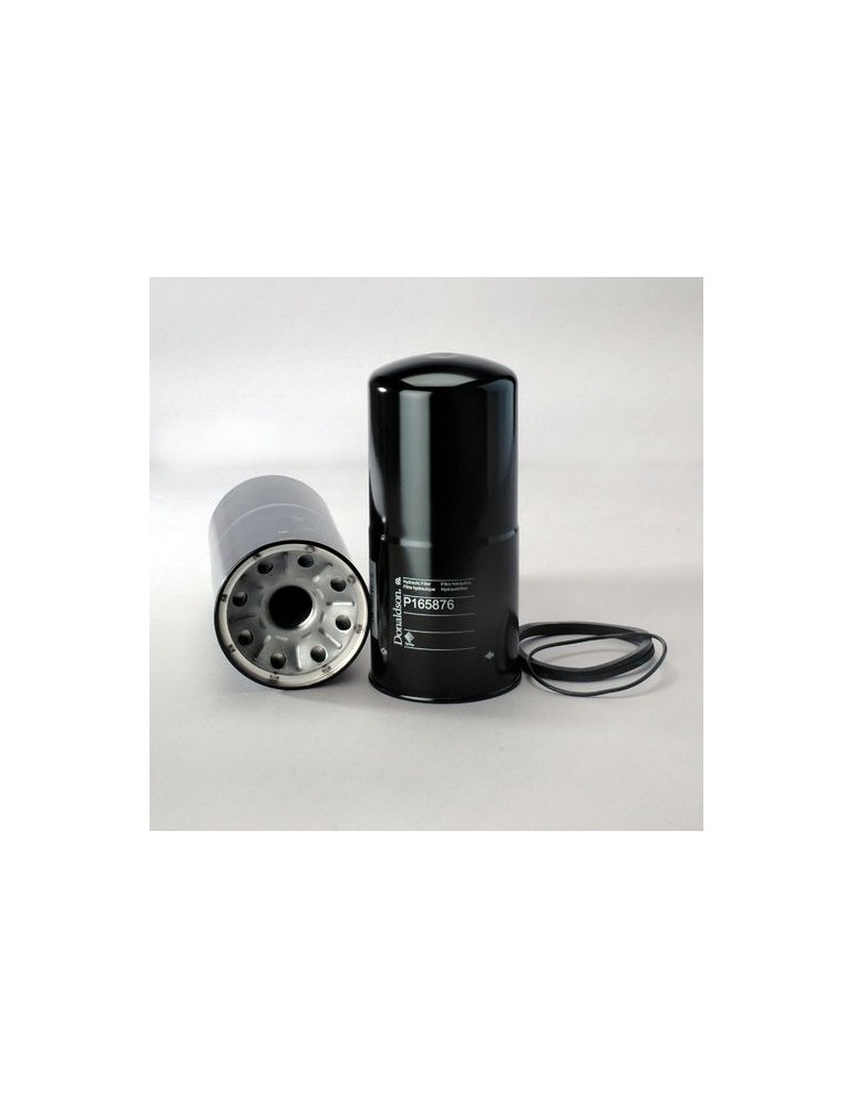 Filtru Ulei Hidraulic P165876