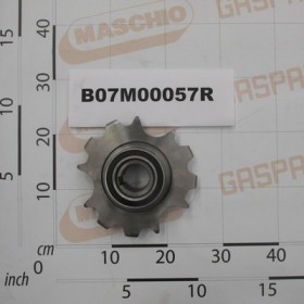 Z-12 GEAR