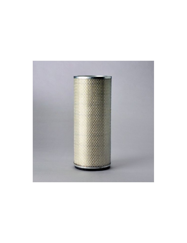 Filtru Aer Motor P124860