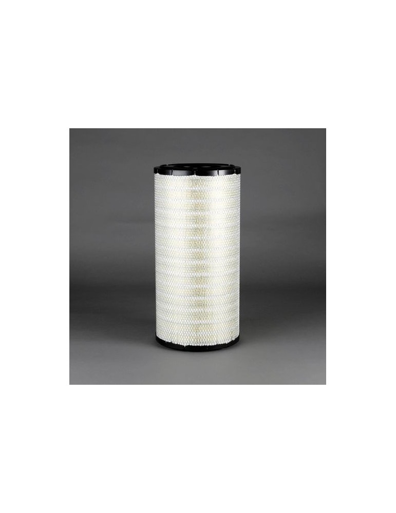 Filtru Aer Motor P789638