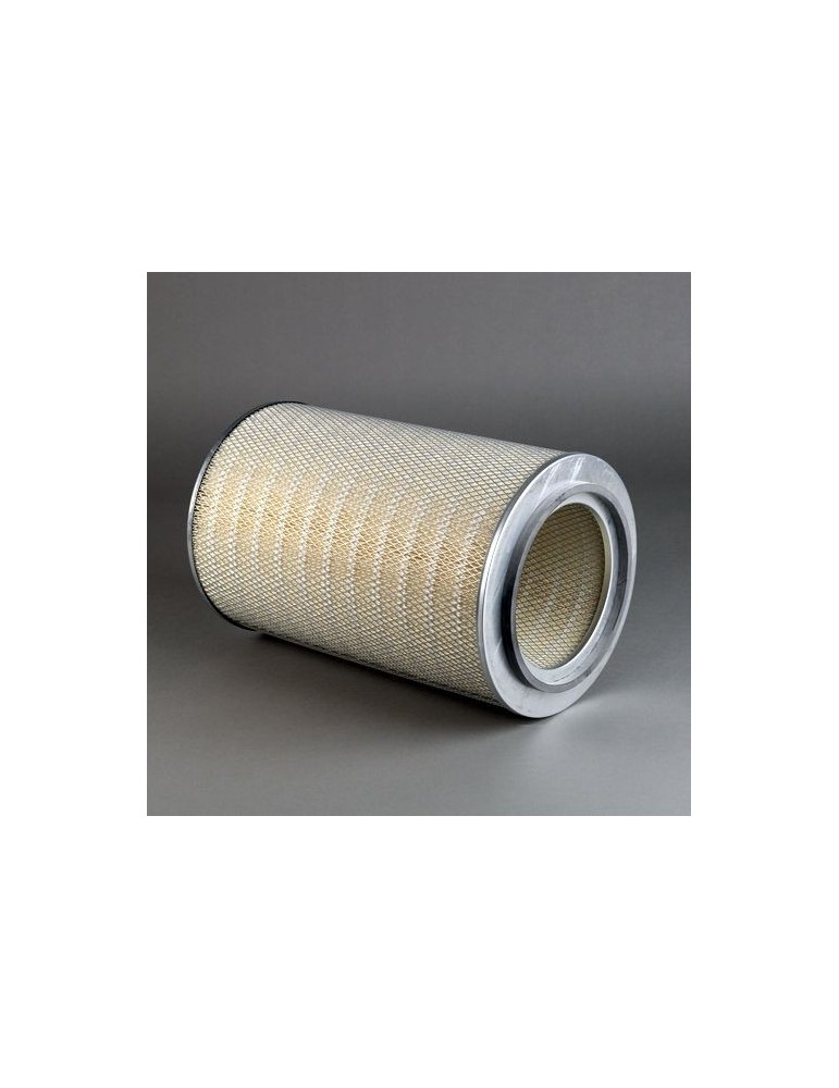 Filtru Aer Motor P783729