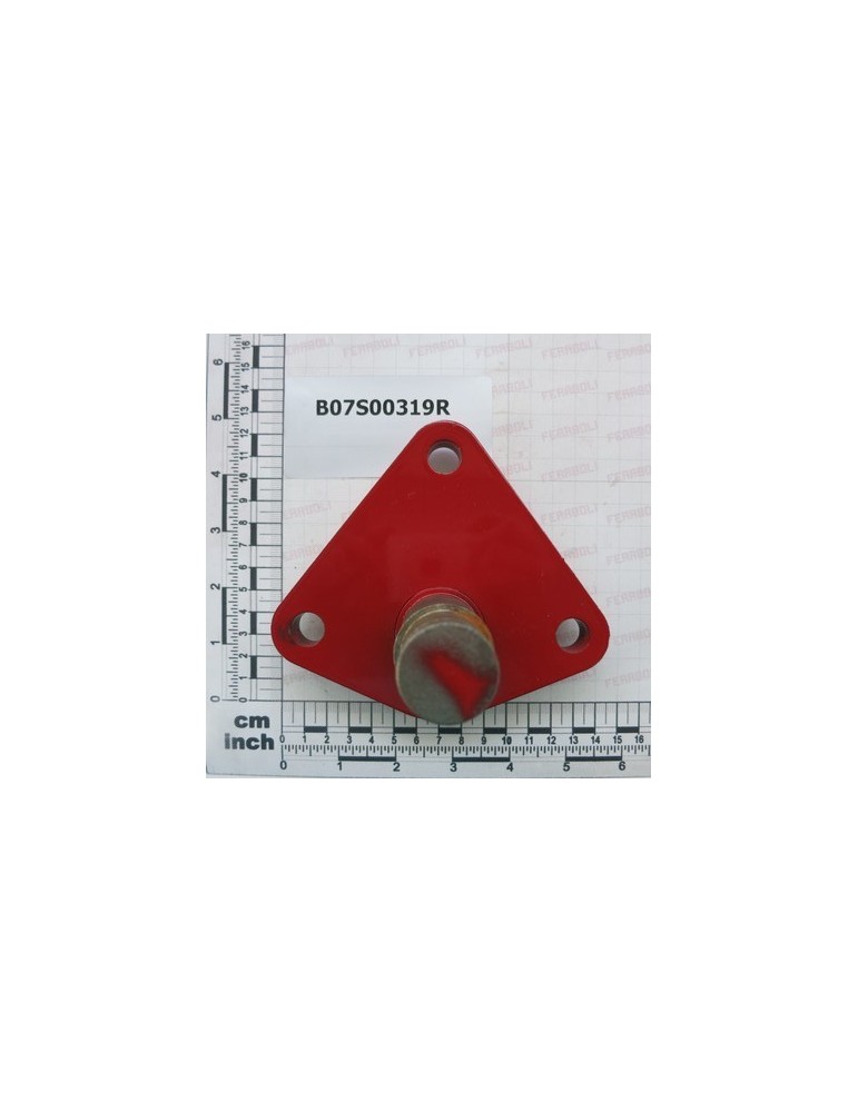 CONTROL PIN