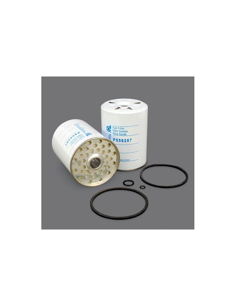 Filtru Combustibil P556287