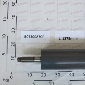 LOWER MOTOR ROLLER