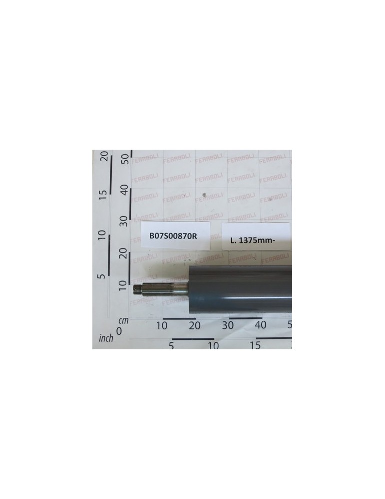LOWER MOTOR ROLLER