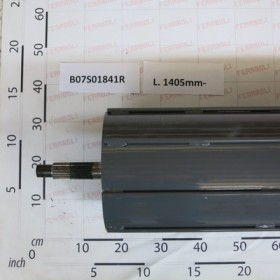 BIG ROLLER
