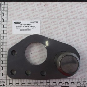 RIGHT PIVOT TAILGATE 220