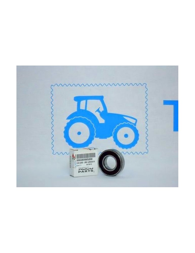 Rulment 000289965200 443898